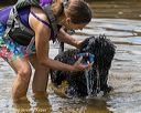 20190817-awd-0531