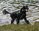 20190817-awd-0544