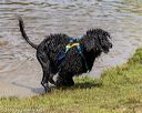 20190817-awd-0565