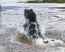 20190817-awd-0599