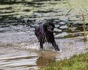 20190817-cwd-0031