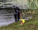 20190817-cwd-0043