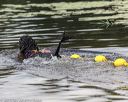 20190817-cwd-0049