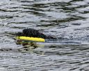 20190817-cwd-0066