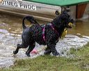 20190817-cwd-0124