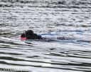 20190817-cwd-0136
