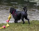 20190817-cwd-0157