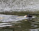 20190817-cwd-0195
