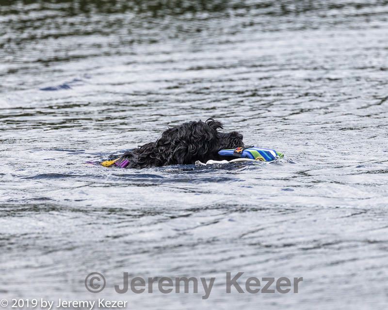 20190817-cwd-0014.jpg