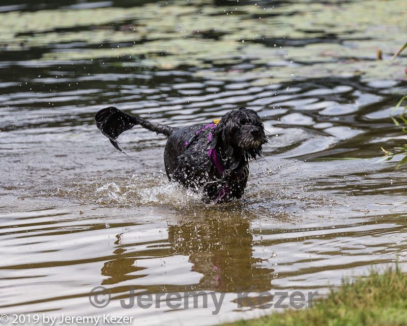 20190817-cwd-0028.jpg