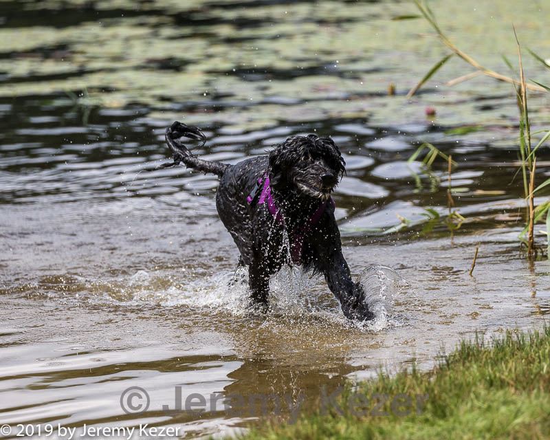 20190817-cwd-0031.jpg