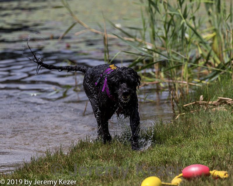 20190817-cwd-0034.jpg