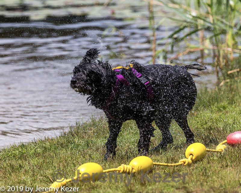20190817-cwd-0035.jpg