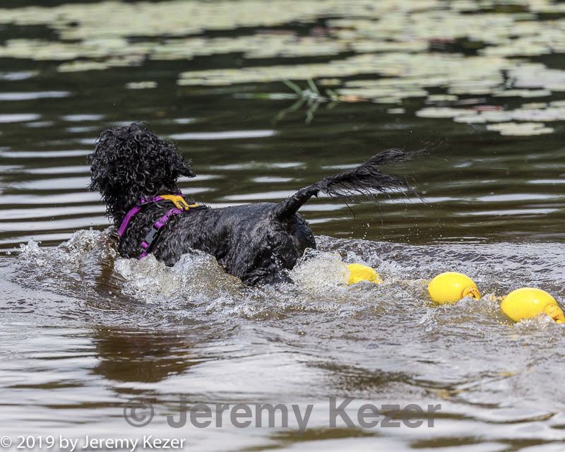 20190817-cwd-0047.jpg