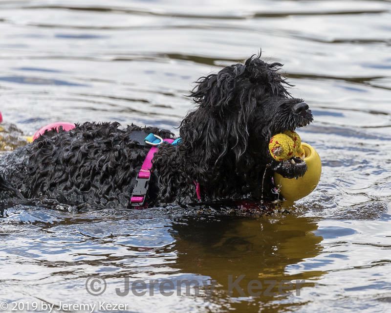 20190817-cwd-0119.jpg
