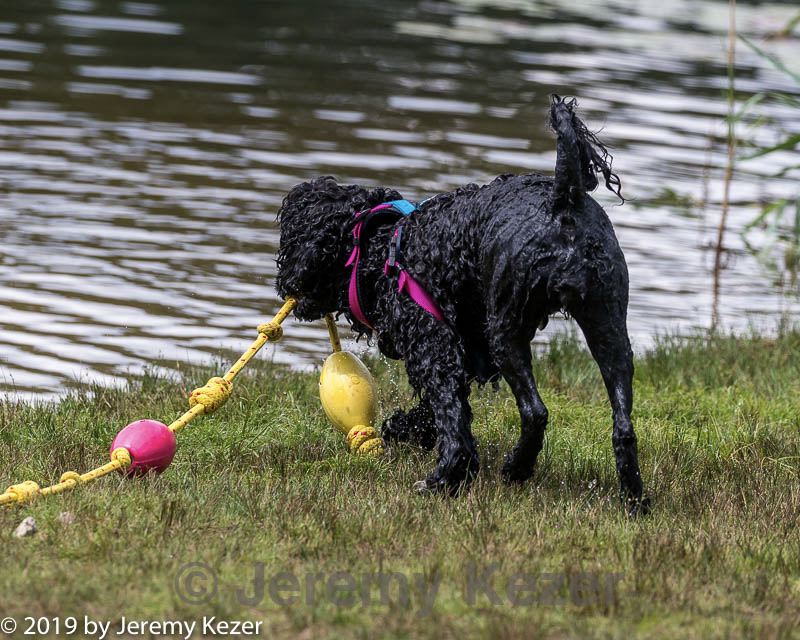 20190817-cwd-0154.jpg