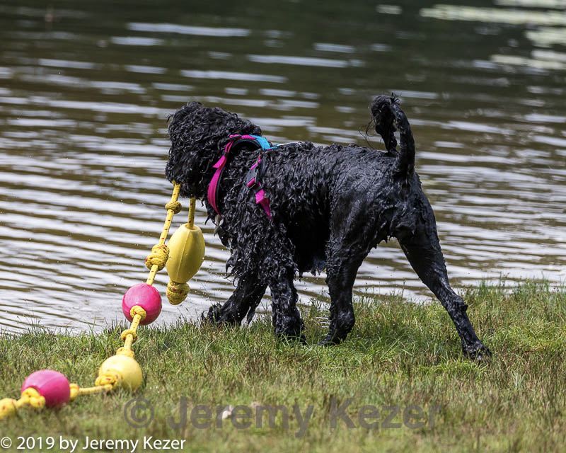 20190817-cwd-0156.jpg