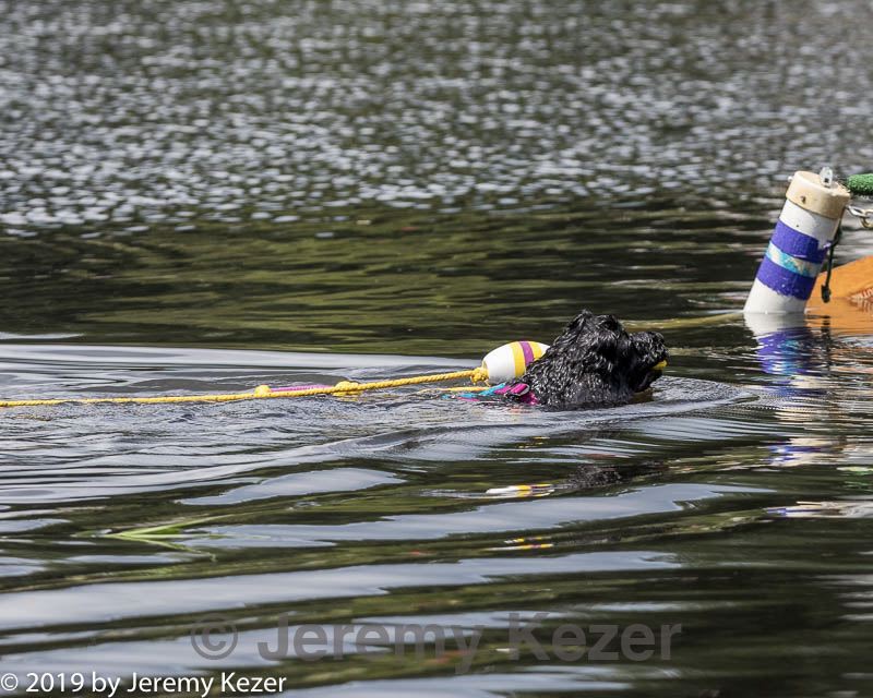 20190817-cwd-0201.jpg