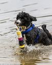 20190817-jwd-0021