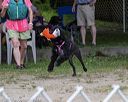 20190817-jwd-0063