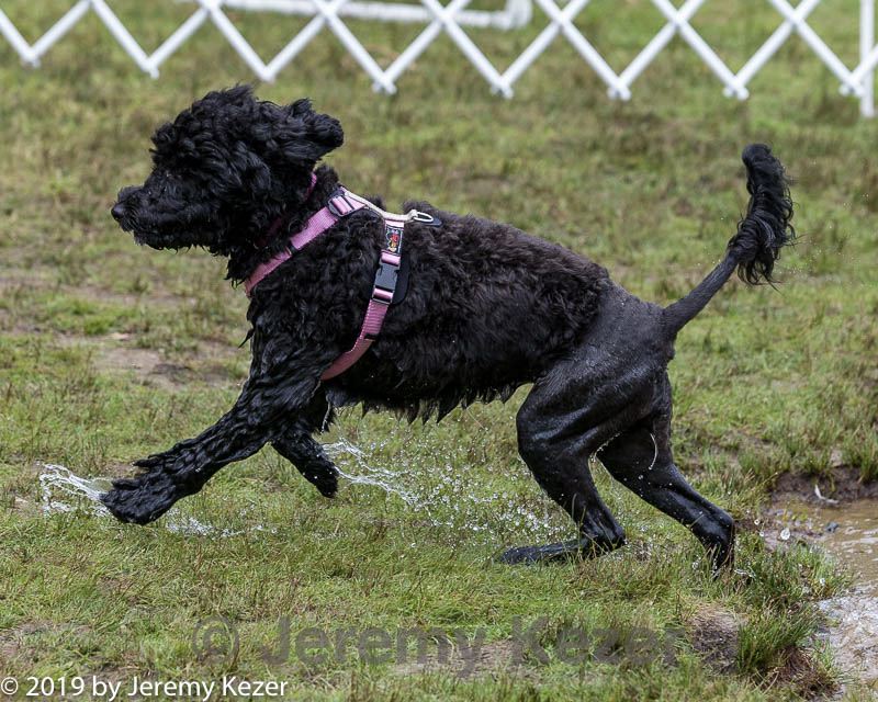 20190817-jwd-0056.jpg
