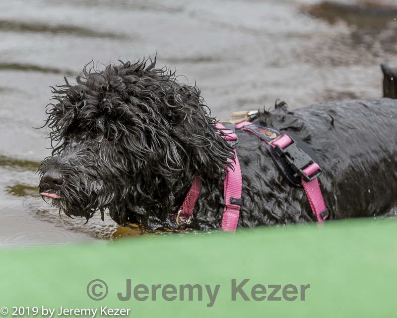 20190817-jwd-0110.jpg