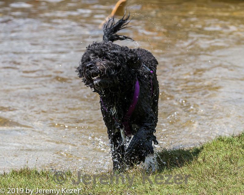 20190817-mwd-0006.jpg