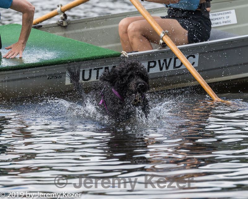 20190817-mwd-0024.jpg