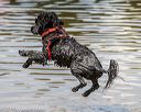 20190817-senior-0004