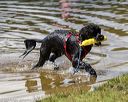 20190817-senior-0020