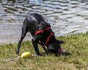 20190817-senior-0060