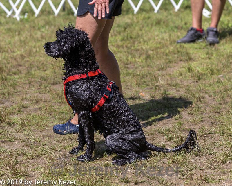 20190817-senior-0002.jpg