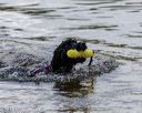 20190817-wwd-0003