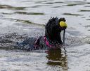 20190817-wwd-0004