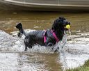 20190817-wwd-0007