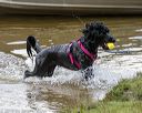 20190817-wwd-0009