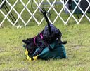 20190817-wwd-0014