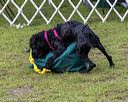 20190817-wwd-0015