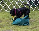 20190817-wwd-0016