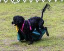 20190817-wwd-0023