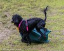20190817-wwd-0028
