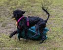 20190817-wwd-0029