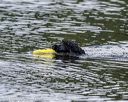 20190817-wwd-0050