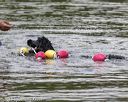 20190817-wwd-0071