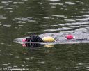 20190817-wwd-0111