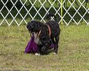 20190817-wwd-0124
