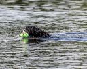 20190817-wwd-0140
