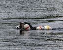 20190817-wwd-0180