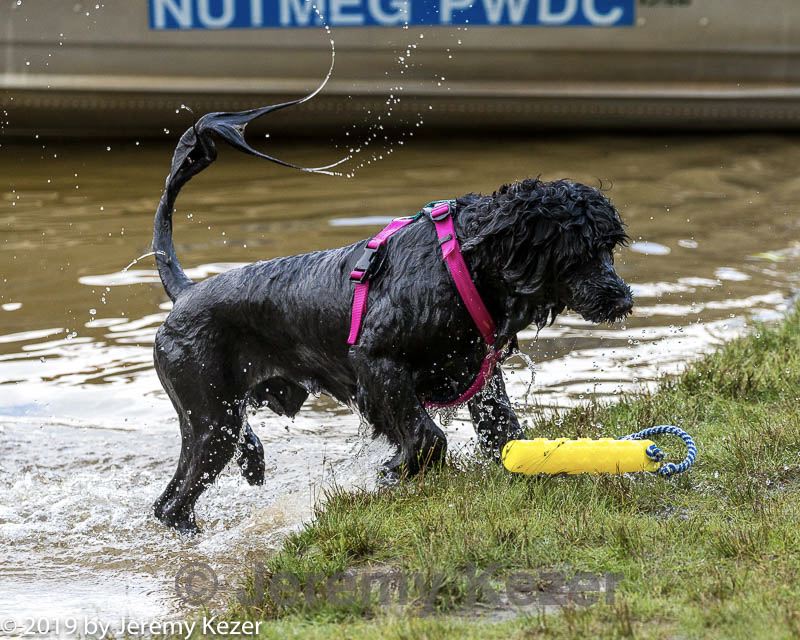 20190817-wwd-0013.jpg