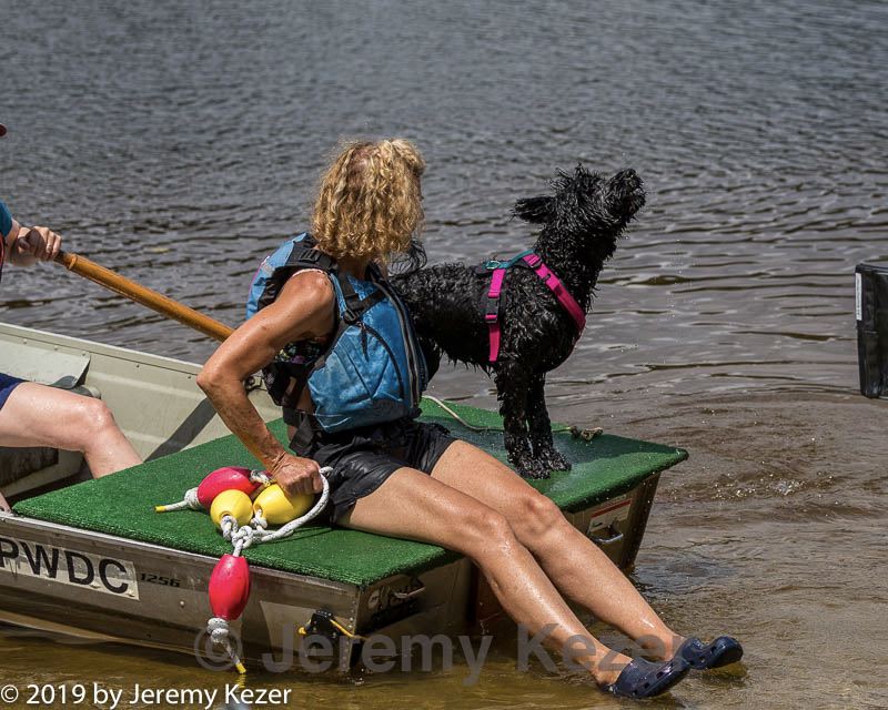 20190817-wwd-0117.jpg